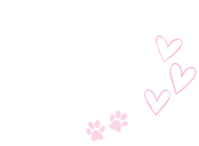 image-chat-tartine-clementine-may-wellvib-agency